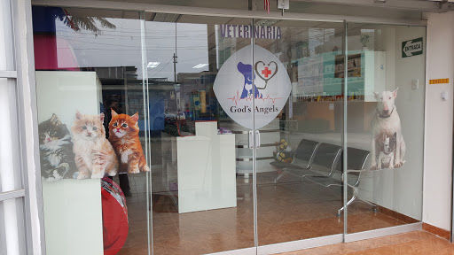 Clinica Veterinaria God's Angels - Sede Av. Central