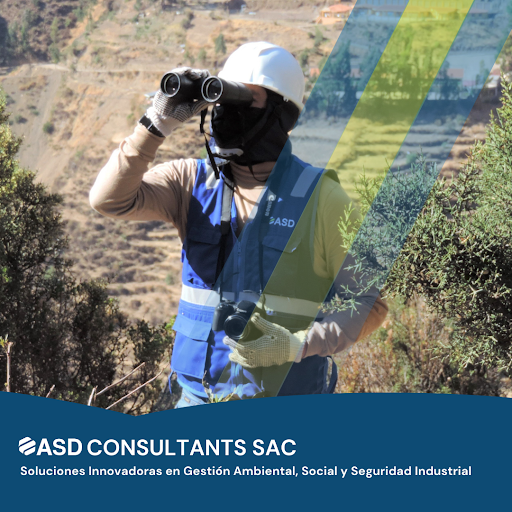 ASD Consultants SAC