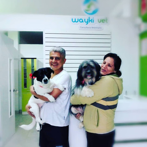 WAYKI VET Consultorio Veterinario